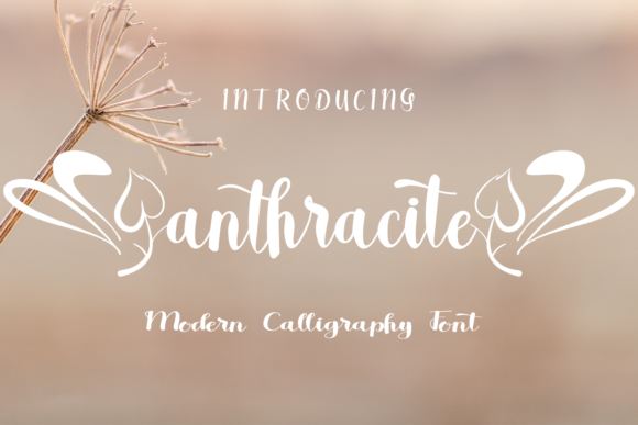 Anthracite Font for Digital Marketing and Branding
