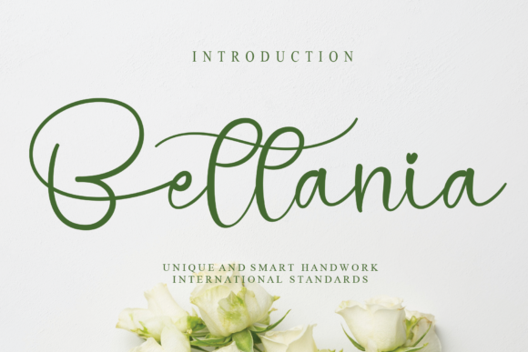 Bettania Font for Web Design and Branding