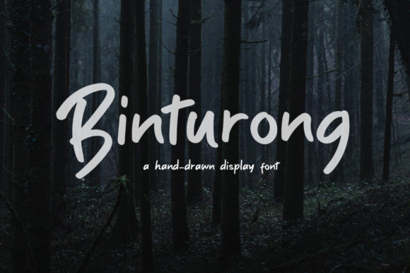 Binturong Font for Professional Branding