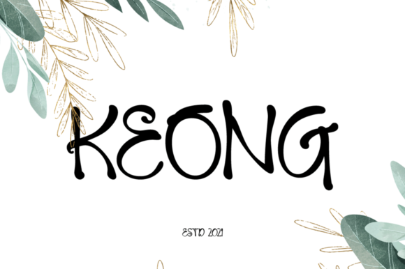 Keong: A Whimsical Handwritten Font for Web Design