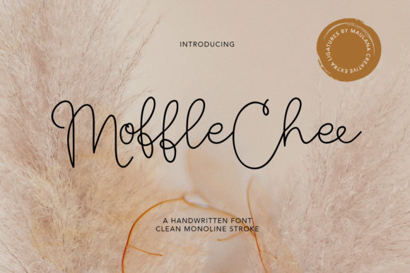Moffle Chee Handwritten for Web Design