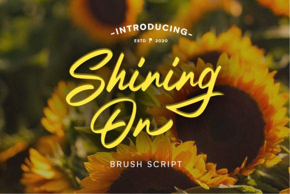 Shining on: A Handwritten Script Font for Creative Makers